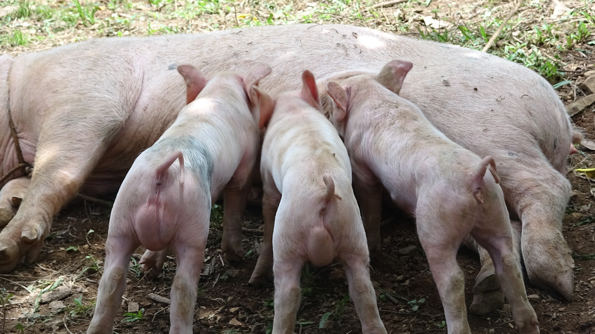 363315795_279953521301984_293606815169663096_n